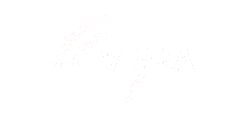 VDMA