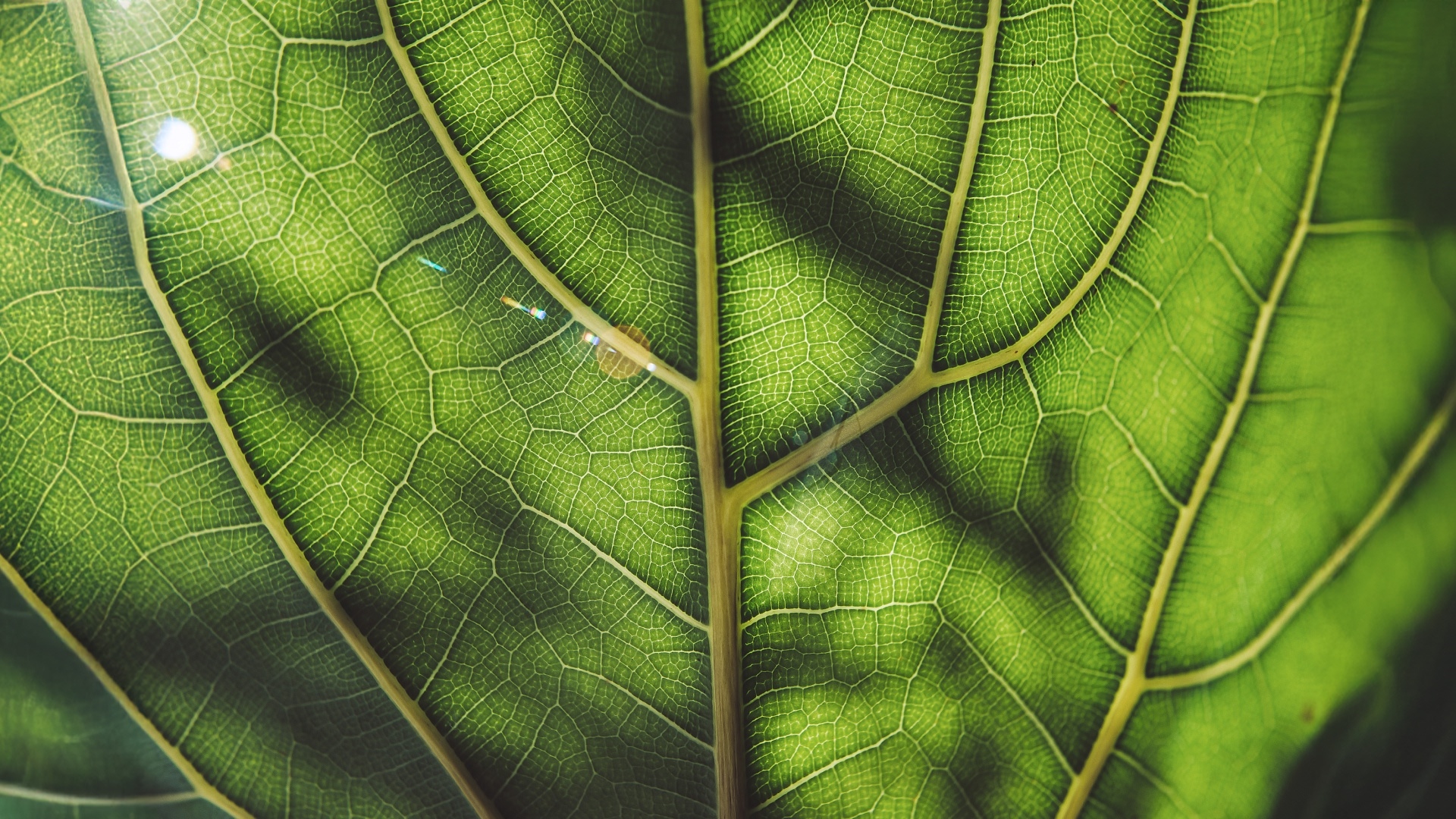 WB-CO2-Daten-effizient-aufbereiten-1920x1080