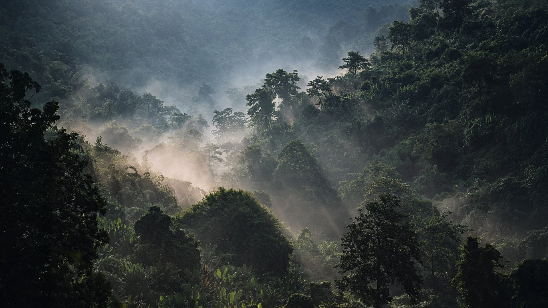 Unternehmen-im-Ueberlebensmodus-1920x1080